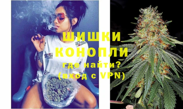 spice Вяземский