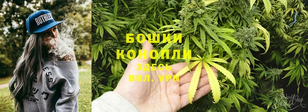 spice Вяземский